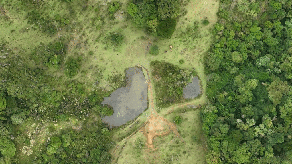 Paraná amplia programa de proteção da água em áreas rurais 2 O estado do Paraná vem adotando uma estratégia pioneira voltada à preservação dos recursos hídricos em áreas rurais.