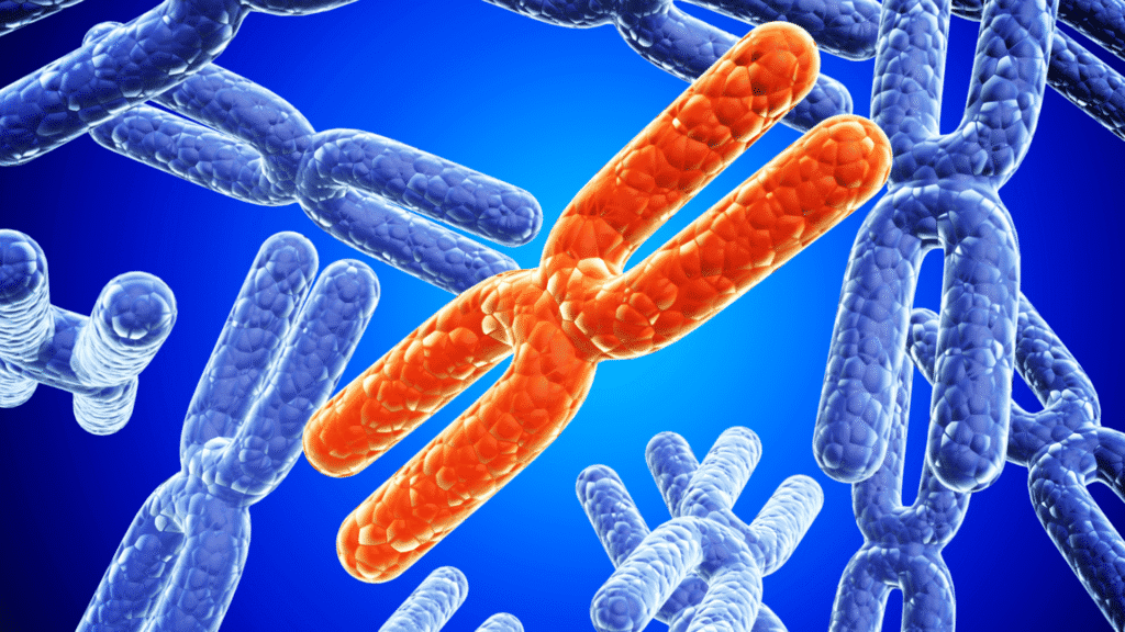 Geneticamente transmitida? Adrenoleucodistrofia, a rara doença invisível 2 A adrenoleucodistrofia afeta principalmente meninos e compromete o cérebro e as glândulas adrenais. Conheça os sintomas, formas clínicas, diagnóstico e possibilidades de tratamento