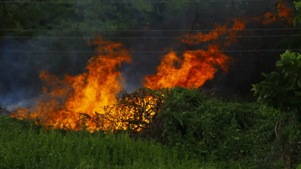 Países terão de responder juridicamente por danos ambientais transnacionais 3 Corte de Haia declara que países têm obrigações legais para proteger o clima e podem ser responsabilizados por danos ambientais causados por omissão.