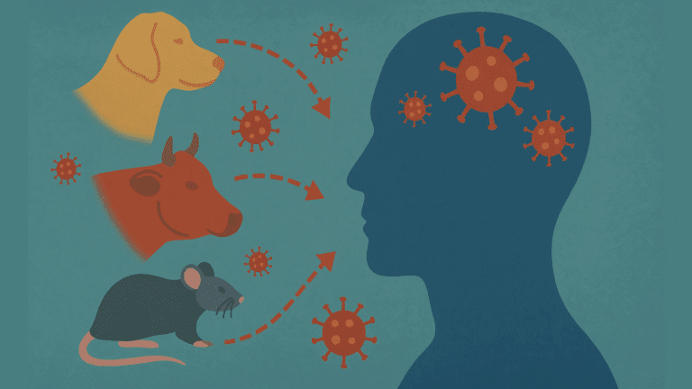 O que são zoonoses? A ligação invisível entre humanos, animais e doenças que moldaram a história