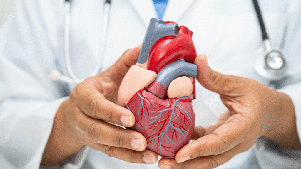 Risco de infarto aumenta no inverno e exige cuidados com o coração 2 Durante o inverno, o risco de infarto aumenta. Especialistas orientam medidas simples que ajudam a proteger o coração nas baixas temperaturas