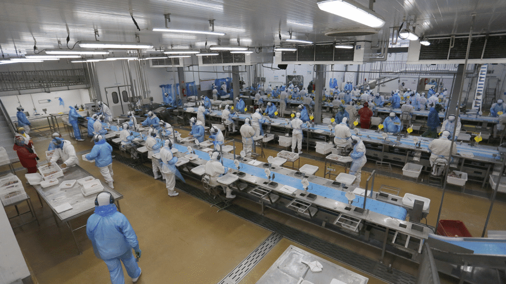 Paraná inicia a semana com mais de 22 mil vagas de emprego disponíveis nas Agências do Trabalhador, com destaque para áreas operacionais e técnicas