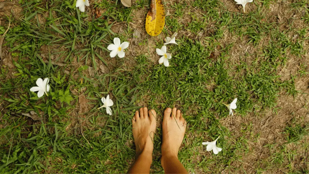 4 coisas para fazer em um campo 5 campo