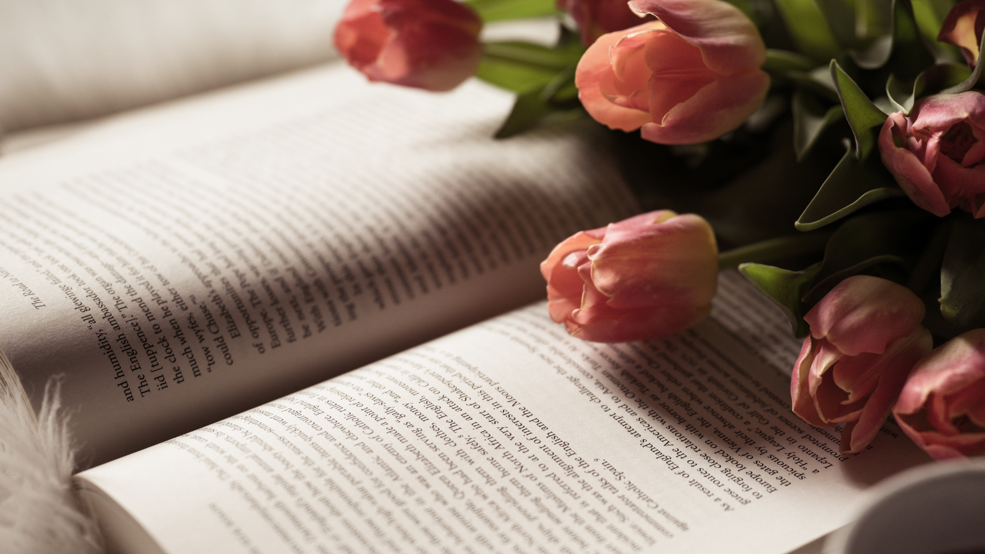 livros de não-ficção que são mais emocionantes que muitos romances