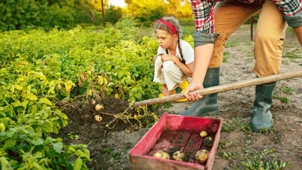 agricultura