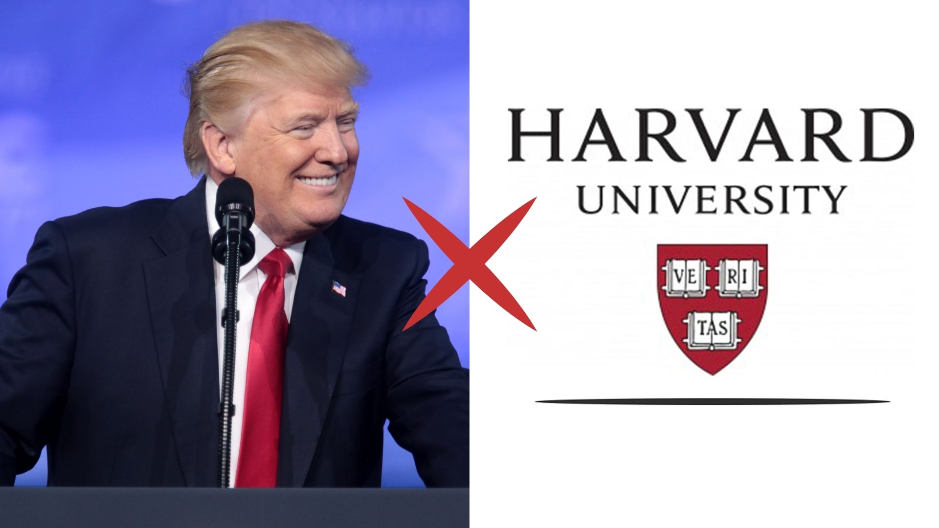 Harvard enfrenta governo Trump na justiça por corte bilionário de verbas