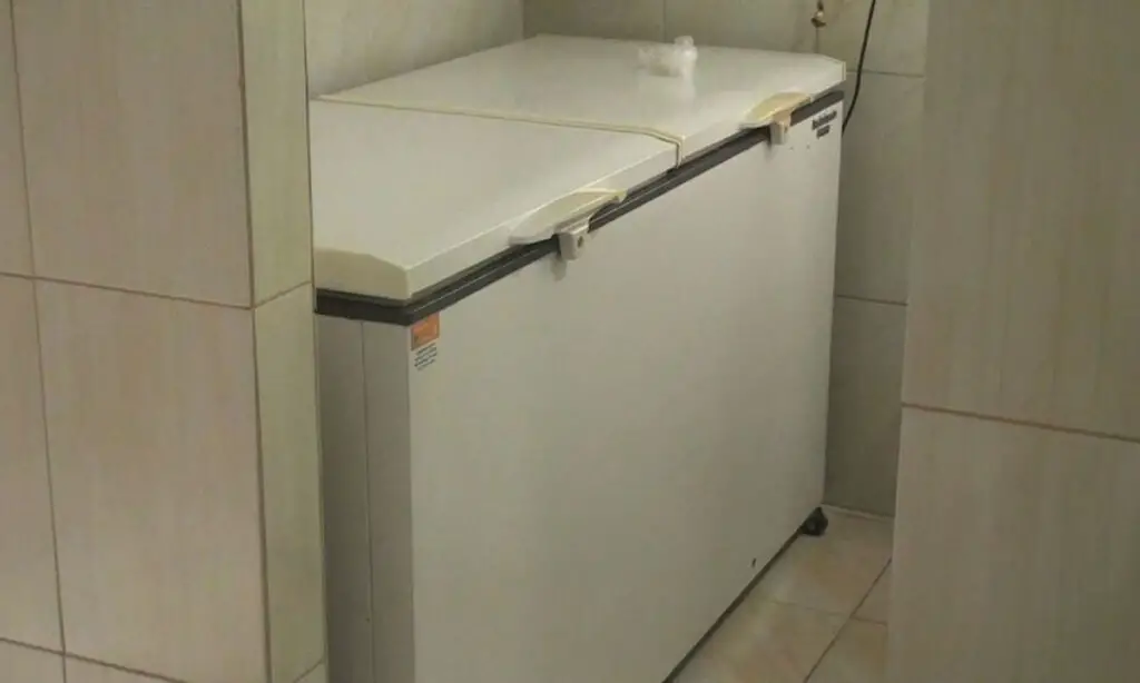 Júri de mulher que matou marido e escondeu corpo em freezer acontecerá em 28 de agosto 3 A justiça determinou que o júri do caso da mulher que matou o marido e escondeu o corpo em um freezer deve acontecer em 28 de agosto Claudia Tavares Hoeckler