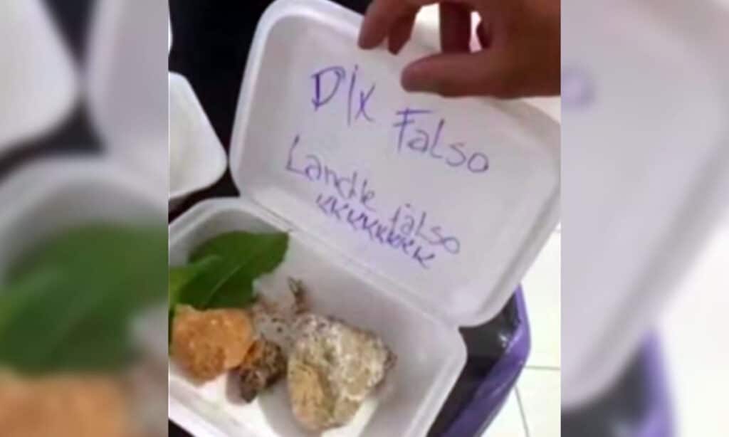 Lanchonete revida golpe de PIX falso com lanche ‘X-Pedra’ 2 O suposto cliente pediu vários sanduíches, refrigerante e até açaí, resultando em uma conta de R$ 254. Lanchonete revidou e enviou X falso
