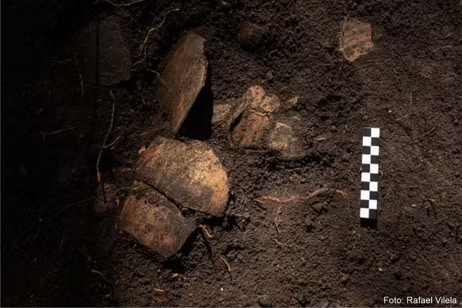 Pesquisadores encontram aldeia ancestral gigante e vestígios do ciclo da borracha no Pará