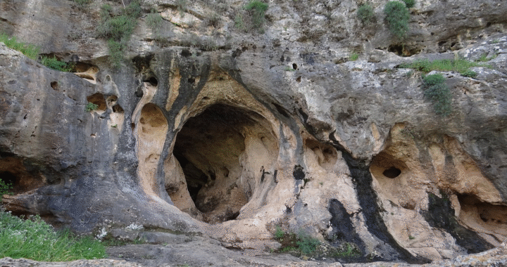 Encontrado um fóssil de criança híbrida humano-neandertal mais velha do mundo 15 caverna crianca