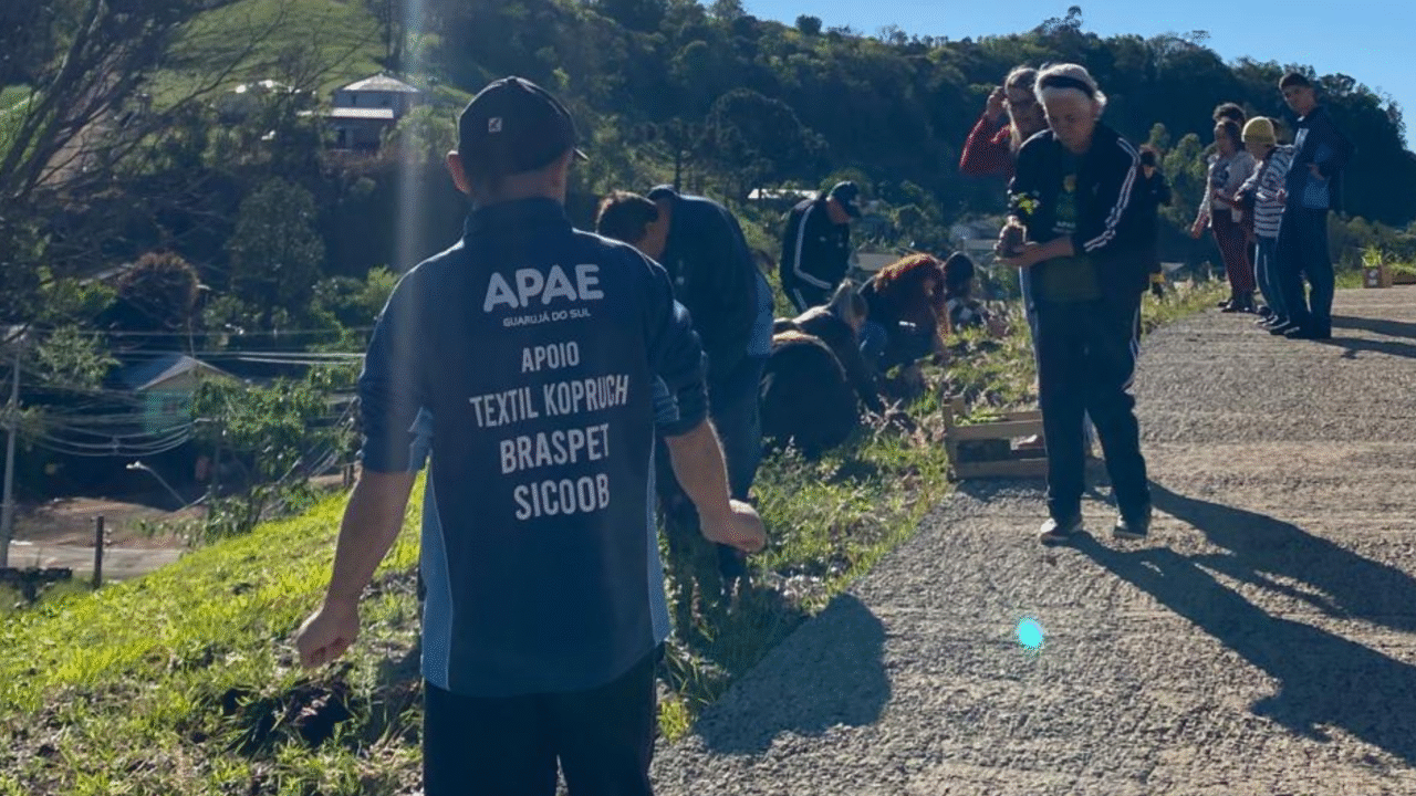 Guarujá do Sul avança com projeto de compensação ambiental 4 crys 16 4