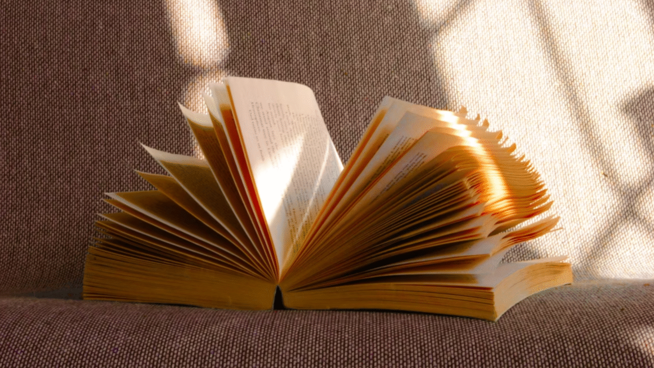 5 livros de drama mais desejados da Amazon