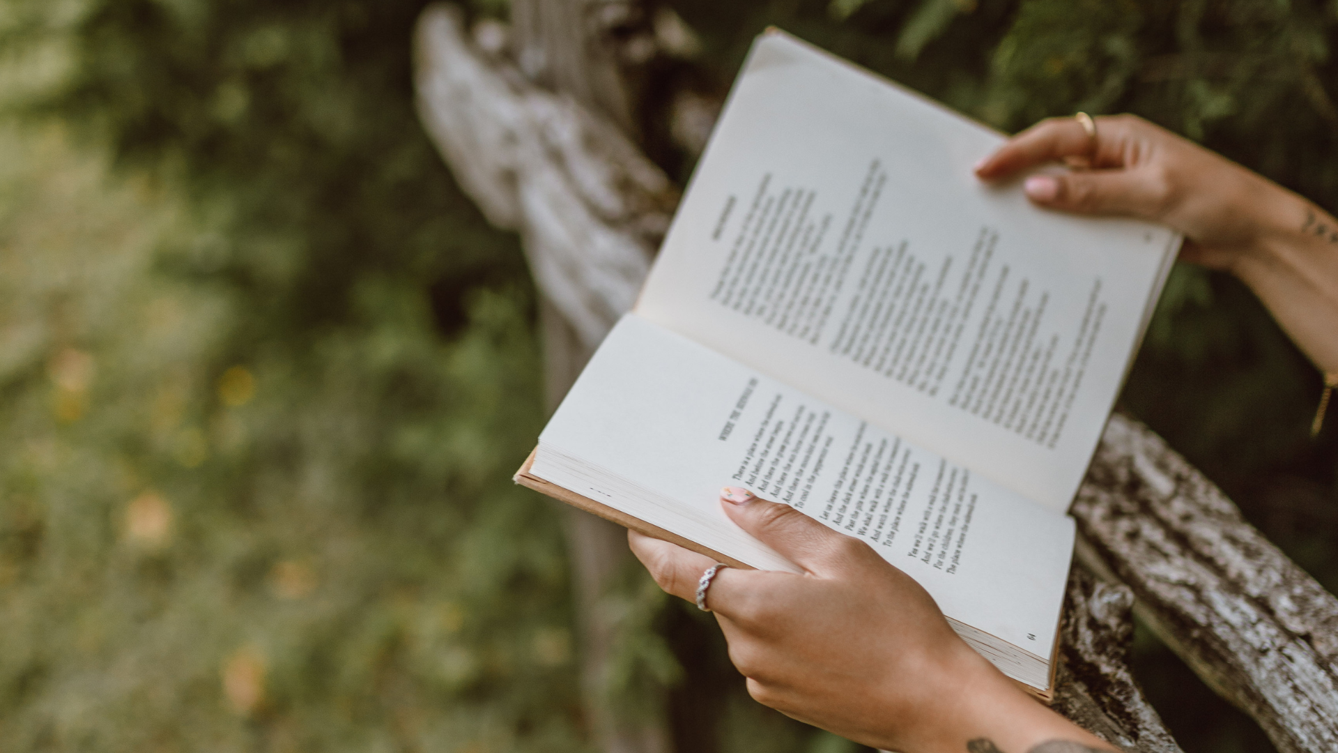 7 livros sobre solidão e solitude que revelam a força do silêncio interior