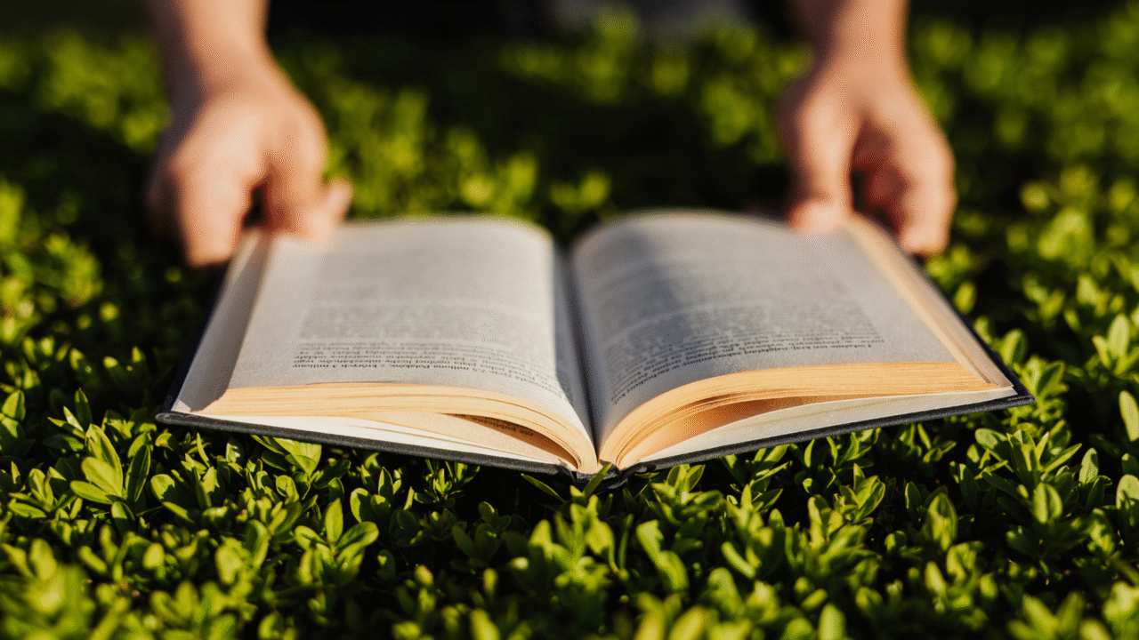 8 livros que transformam a perda em poesia