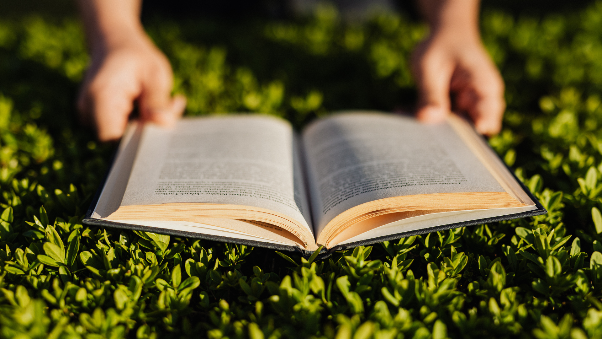 8 livros que transformam a perda em poesia