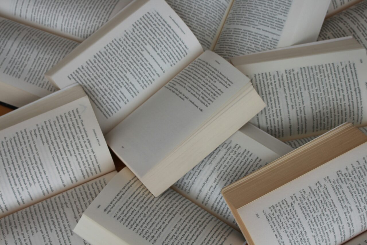 livros 4