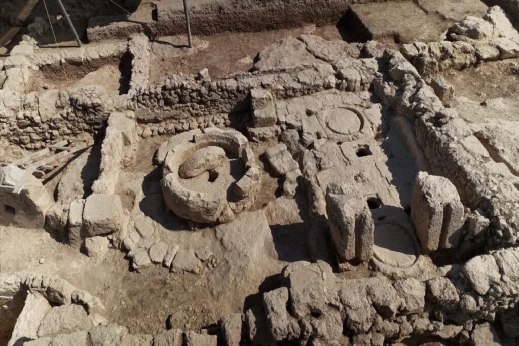 Arqueólogos descobrem mansão perdida de 1.600 anos com mosaicos e segredos surpreendentes; VEJA FOTOS 4 mosaicos 3