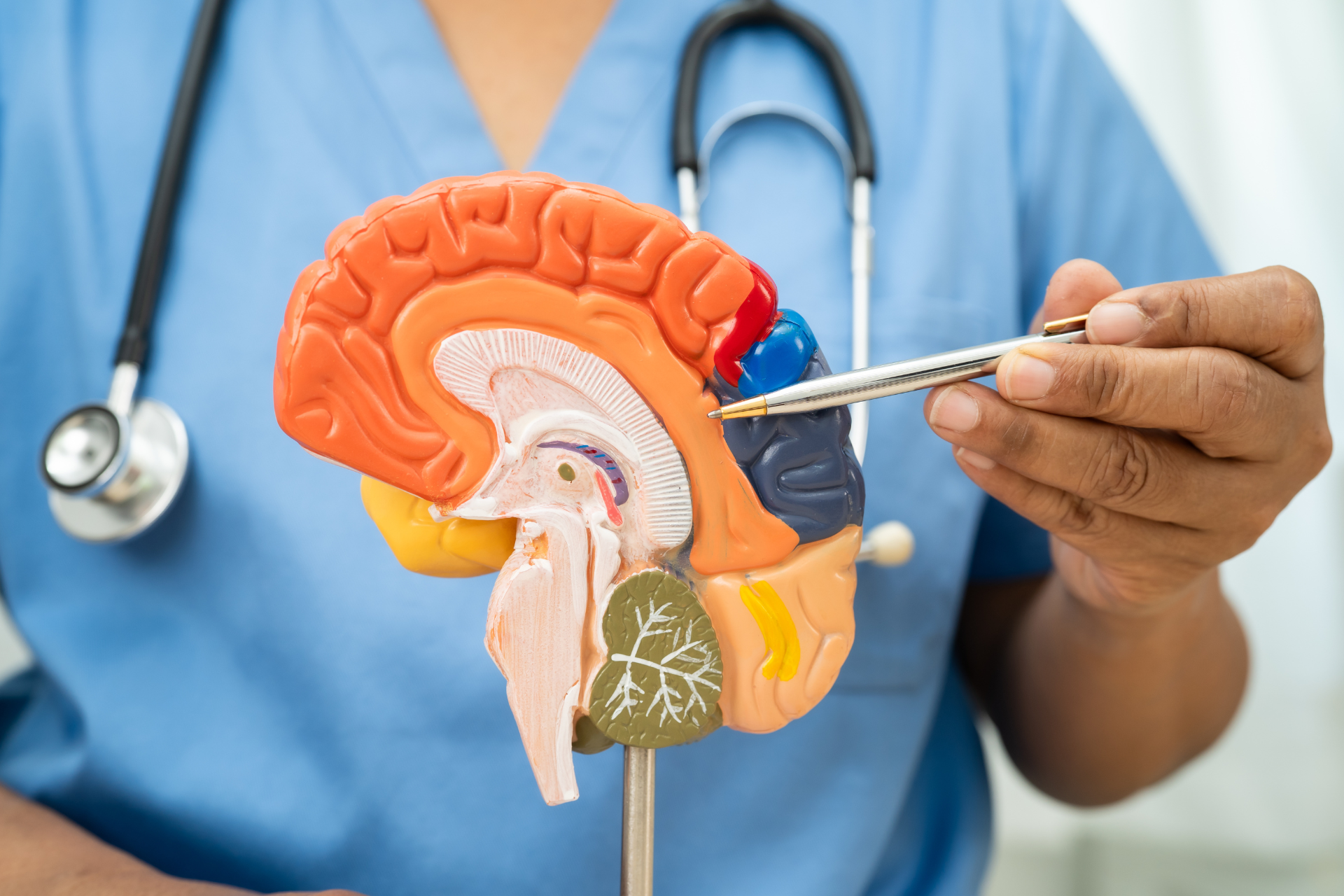 Avanços contra o Alzheimer: como proteger o cérebro desde cedo antes que seja tarde demais 3 Avanços contra o Alzheimer: como proteger o cérebro desde cedo antes que seja tarde demais