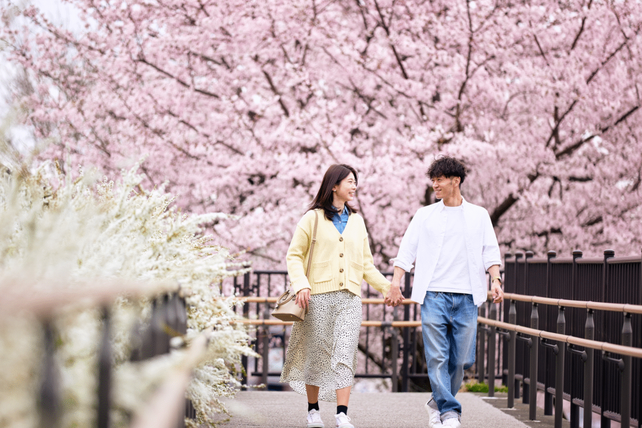 Japão: curiosidades fascinantes sobre o país onde tradição e tecnologia convivem em perfeita harmonia 3 Japão: curiosidades fascinantes sobre o país onde tradição e tecnologia convivem em perfeita harmonia