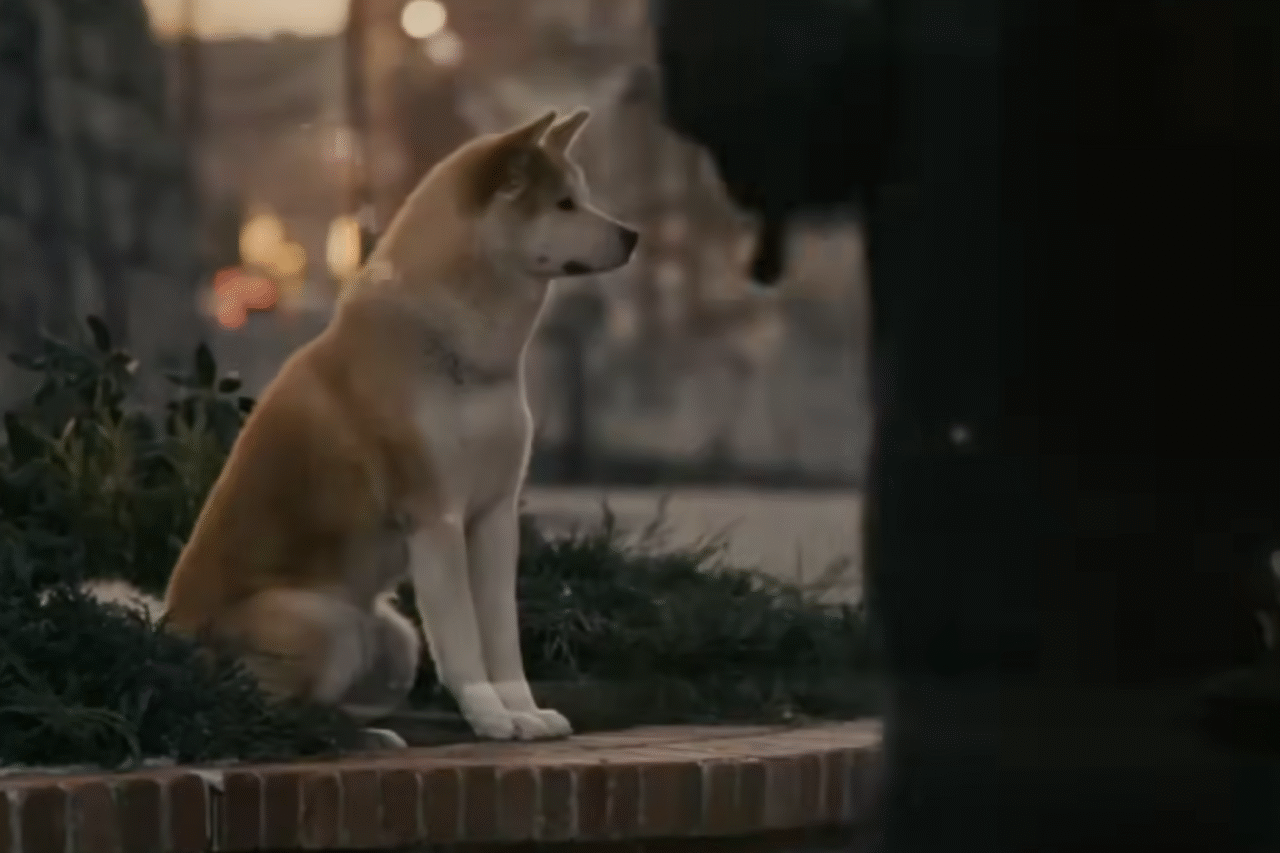 10 filmes imperdíveis para curtir ao lado do seu cachorro 4 Heloisa L 29 5