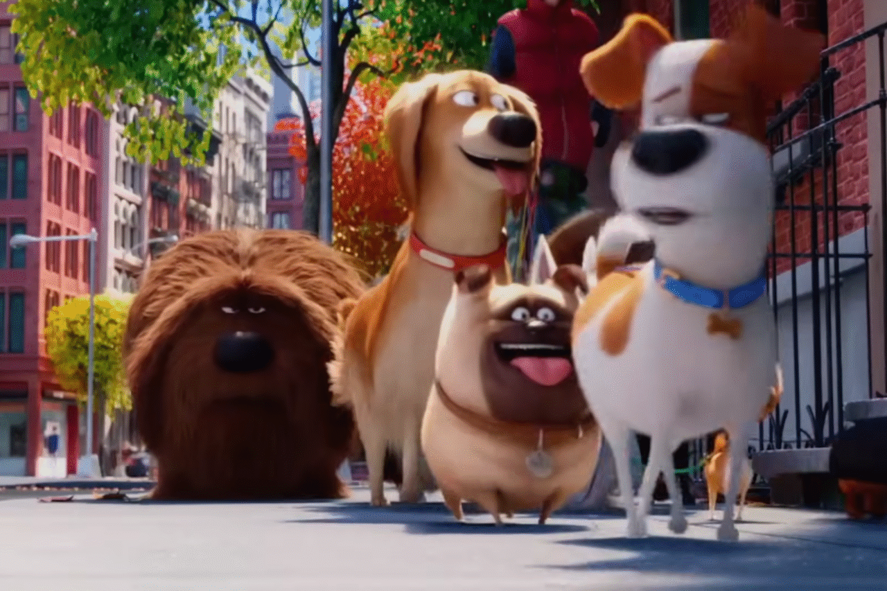 10 filmes imperdíveis para curtir ao lado do seu cachorro 9 Heloisa L 33 4