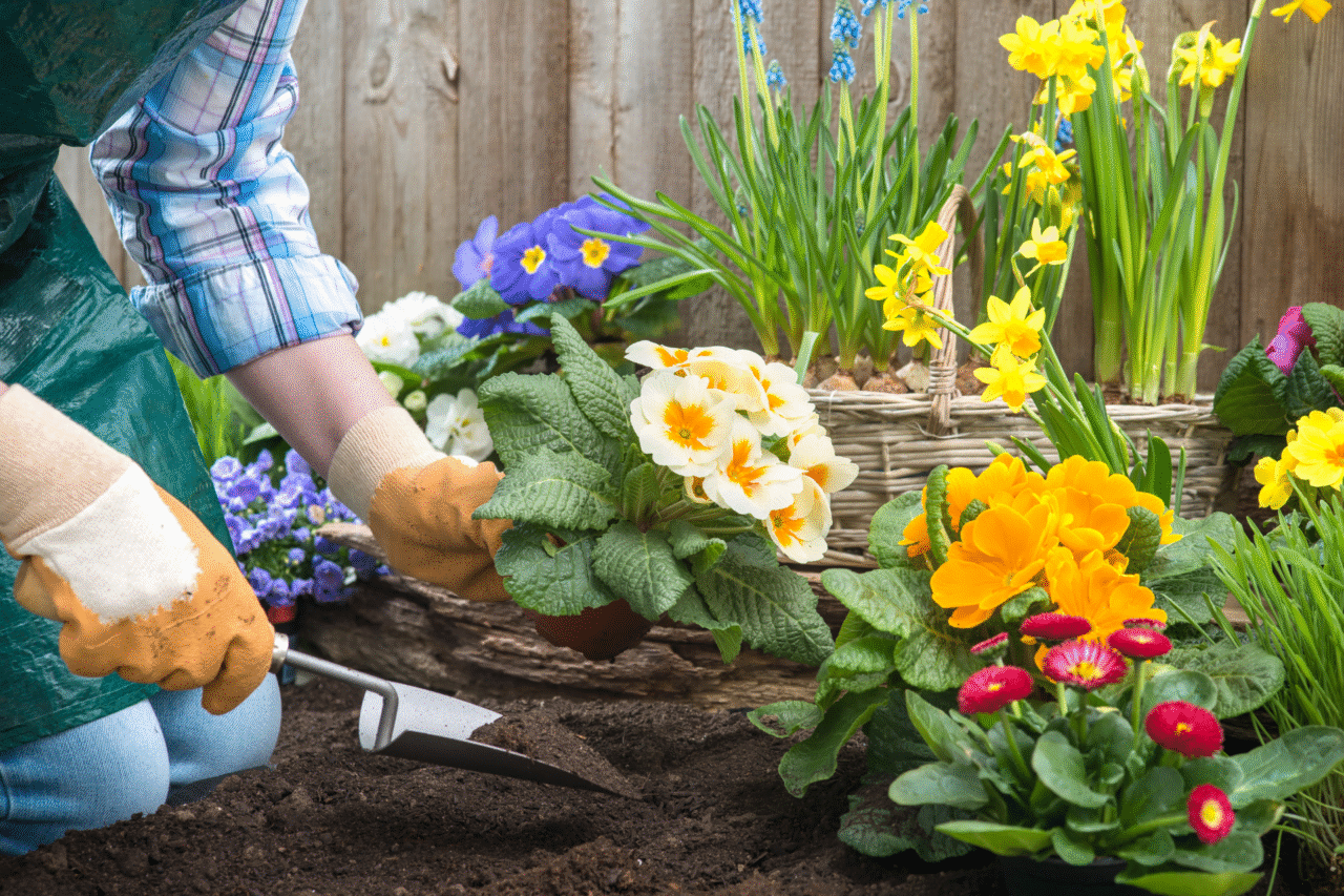 O poder terapêutico de cuidar de plantas — como a jardinagem transforma a mente, o corpo e o ambiente 3 O poder terapêutico de cuidar de plantas — como a jardinagem transforma a mente, o corpo e o ambiente