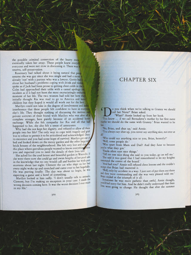 15 livros curtos que você lê em um dia e ficam marcados para sempre