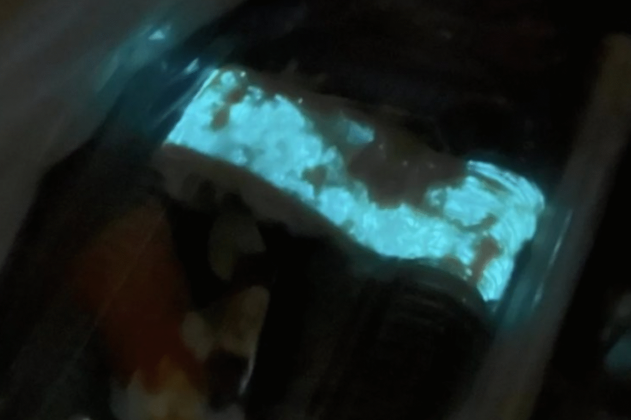 Consumidora encontra sushi que brilha no escuro e caso viraliza 31 Consumidora encontra sushi com brilho azul na Tailândia; especialista aponta bioluminescência e recomenda descarte imediato.