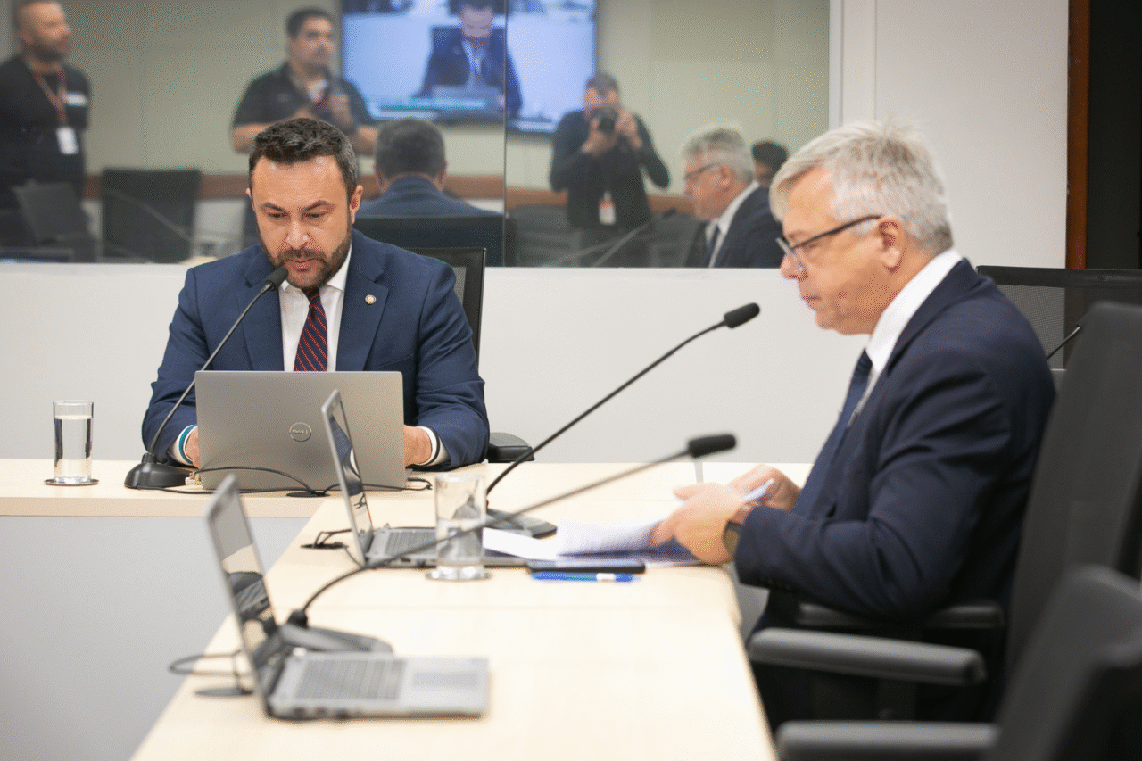 Alesc aprova projetos que proíbem fogos com estampidos e promovem educação sobre direitos dos animais em Santa Catarina
