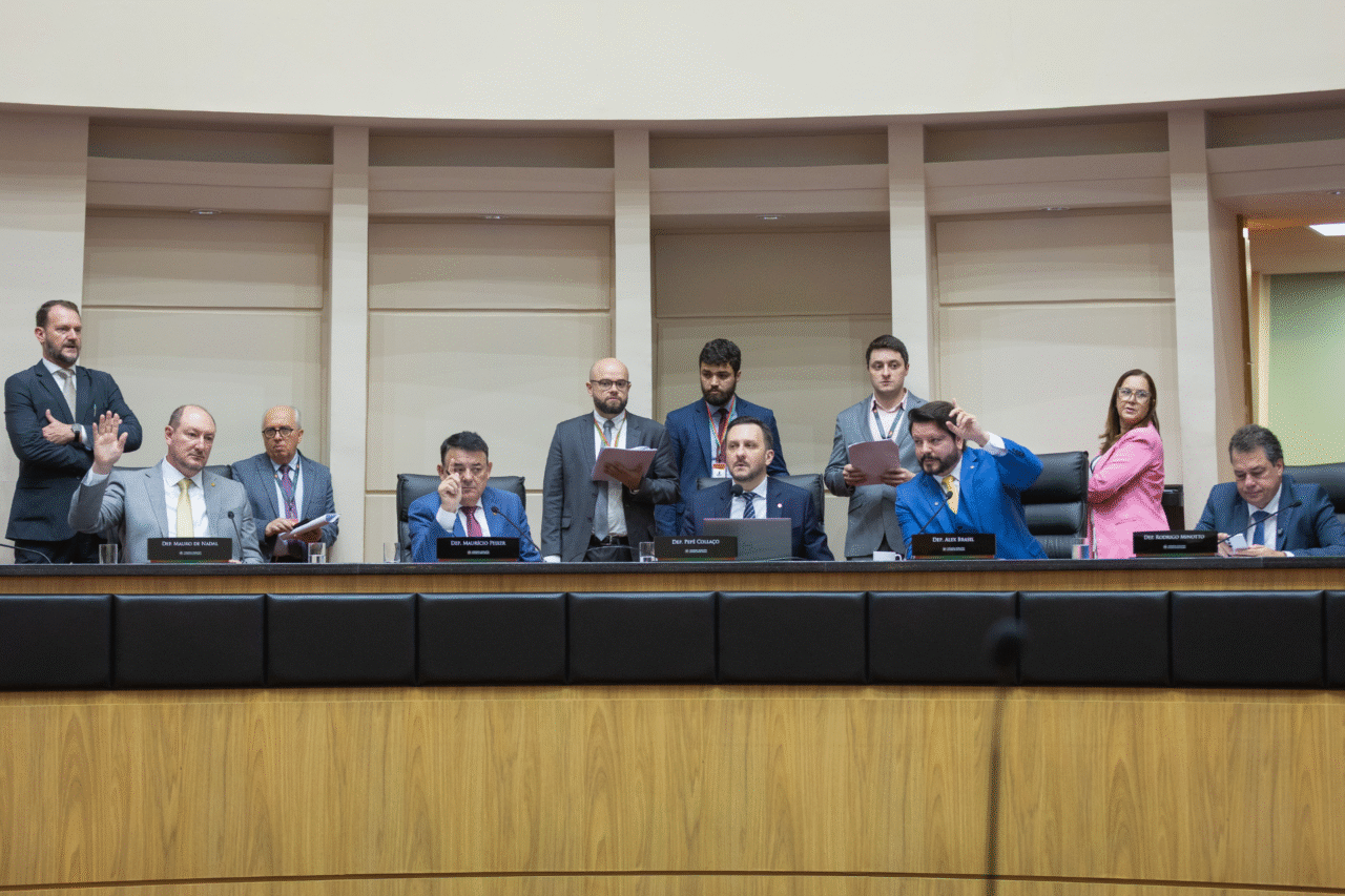 Santa Catarina pode instituir política permanente contra a adultização de menores 3 CCJ aprova projeto que cria política de combate à exploração e à adultização infantil em Santa Catarina.
