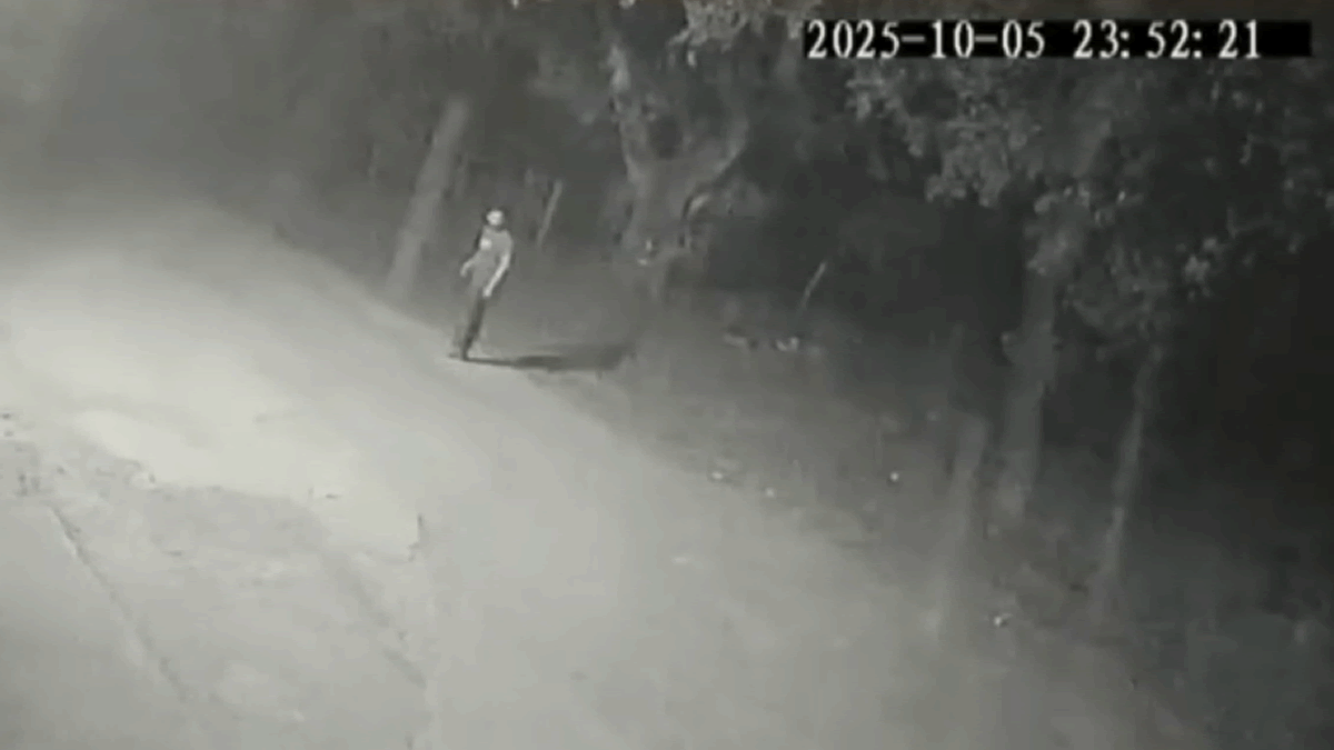 Caminhoneiro cerqueirense foi perseguido por homens a cavalo antes de ser morto no RJ 4 O caminhoneiro Jefferson Rodrigues, de 34 anos, foi encontrado morto em meio a mata com marcas de facadas, no dia 06 de outubro em Seropédica, na Baixada Fluminense
