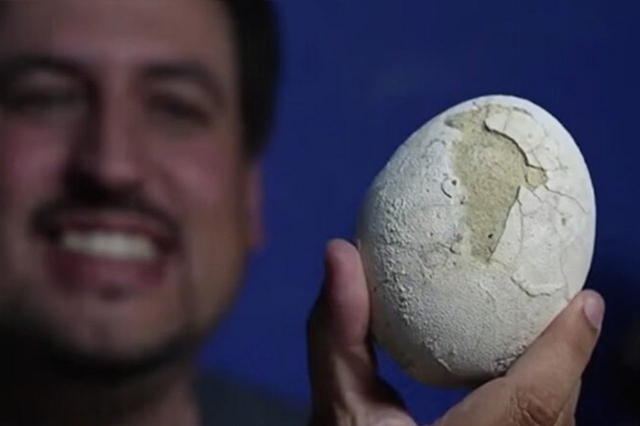 Descoberta histórica na Argentina: ovo de dinossauro de 70 milhões de anos pode conter embrião preservado