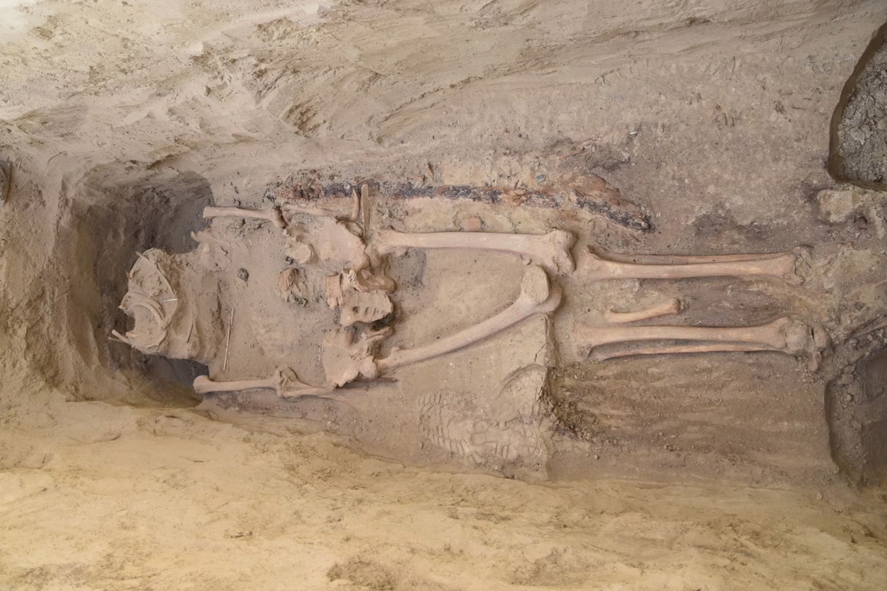 Arqueólogos descobrem tumba de guerreiro ávaro com rara espada de luxo na Hungria 3 Arqueólogos descobrem tumba de guerreiro ávaro com rara espada de luxo na Hungria