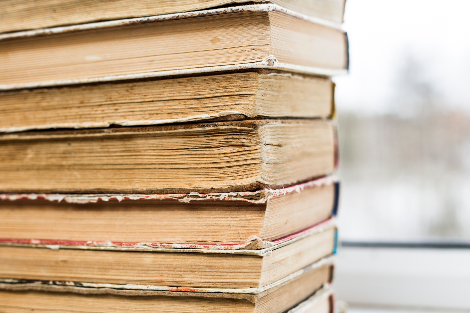 12 livros que podem transformar sua vida 43 12 livros que podem transformar sua vida