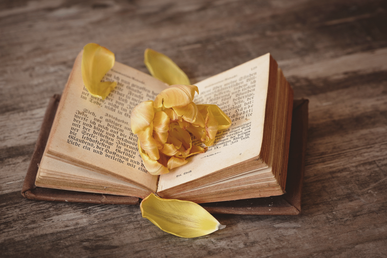 9 romances que estão explodindo nas redes sociais em 2025 3 9 romances que estão explodindo nas redes sociais em 2025