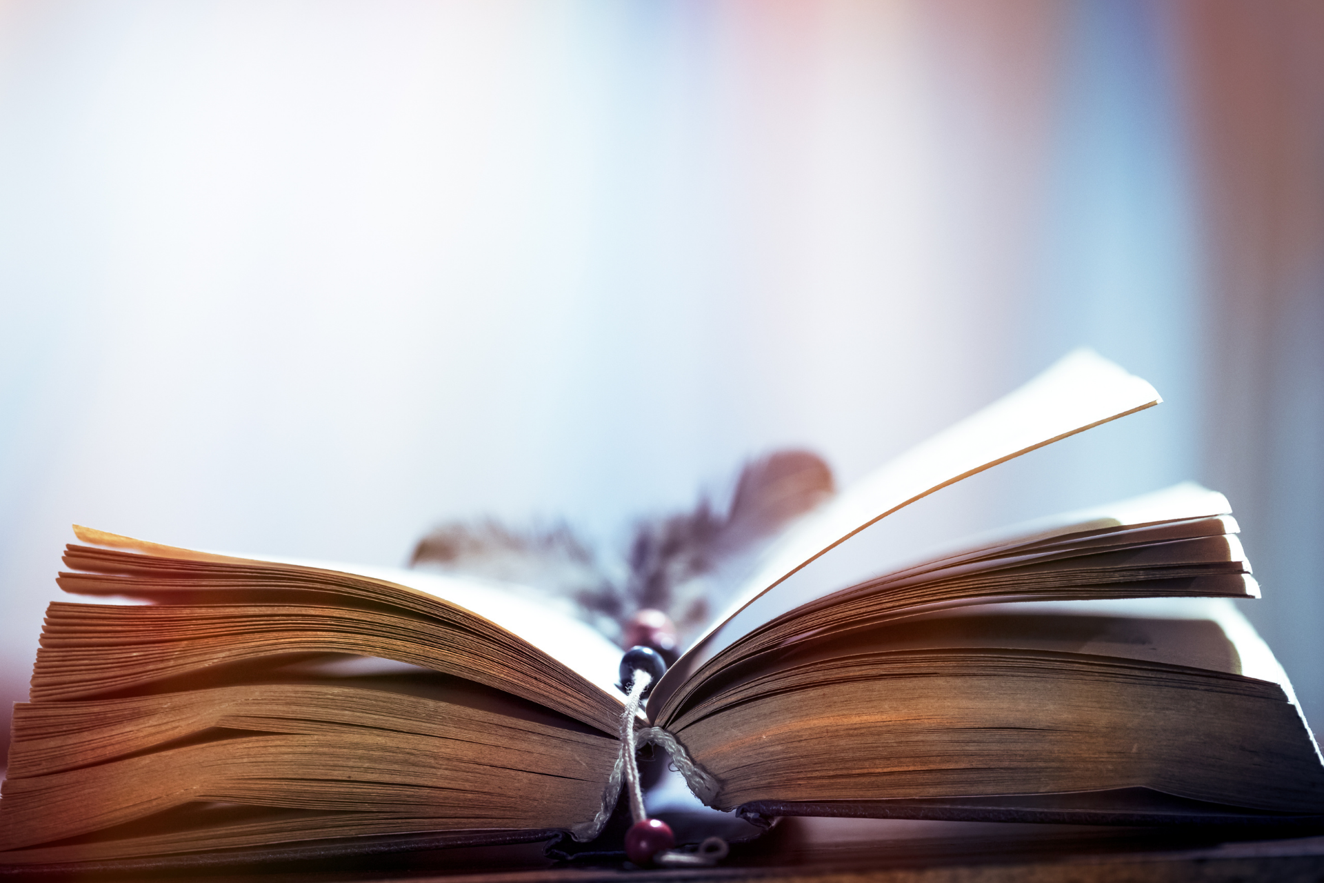 4 livros calhamaços que valem cada página