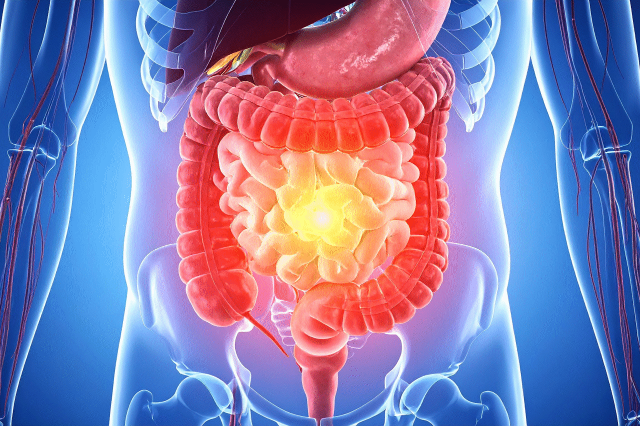 Como o intestino influencia o humor, a imunidade e até a pele: a conexão oculta que está transformando a saúde moderna