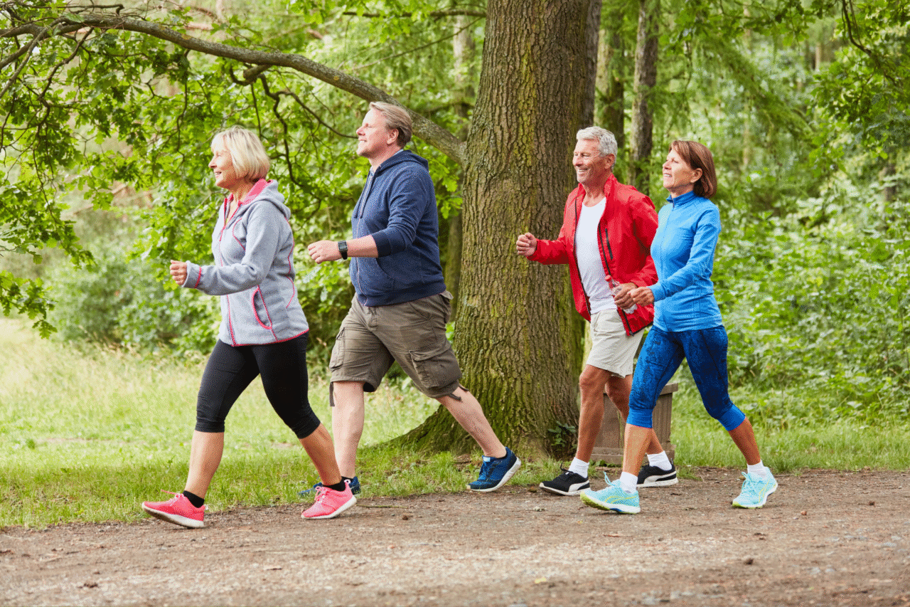 Caminhar 30 minutos por dia muda o cérebro? A ciência revela efeitos surpreendentes que você nunca imaginou 3 Caminhar 30 minutos por dia muda o cérebro? A ciência revela efeitos surpreendentes que você nunca imaginou