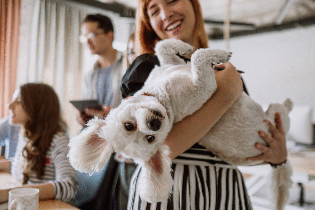 Pets e bem-estar: por que ter um animal de estimação transforma a nossa saúde mais do que imaginamos? A ciência explica 26 Heloisa L 22 1