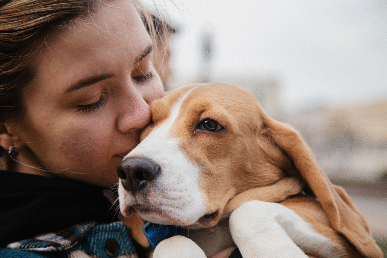 Pets e bem-estar: por que ter um animal de estimação transforma a nossa saúde mais do que imaginamos? A ciência explica 3 Pets e bem-estar: por que ter um animal de estimação transforma a nossa saúde mais do que imaginamos? A ciência explica