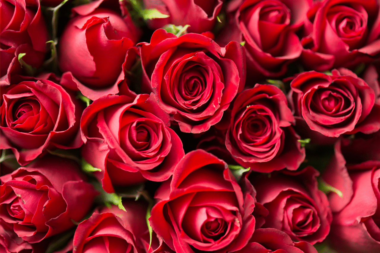 O poder secreto das cores: o que cada tom desperta no cérebro humano