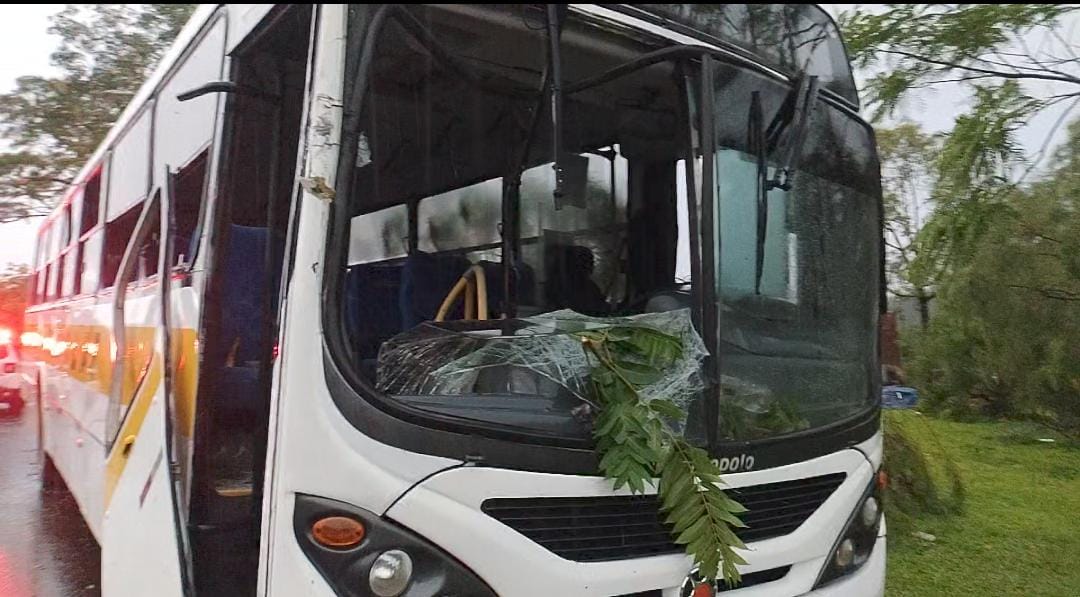 Temporal destrói casas, ginásio de esportes e causa destruição em Dionísio Cerqueira e região 14 WhatsApp Image 2025 11 07 at 19.51.22 2