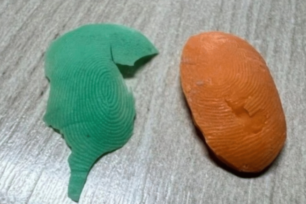 Servidores da Prefeitura de Schroeder (SC) são presos após fraudar ponto eletrônico com um “dedo de silicone” usado para enganar o sistema.