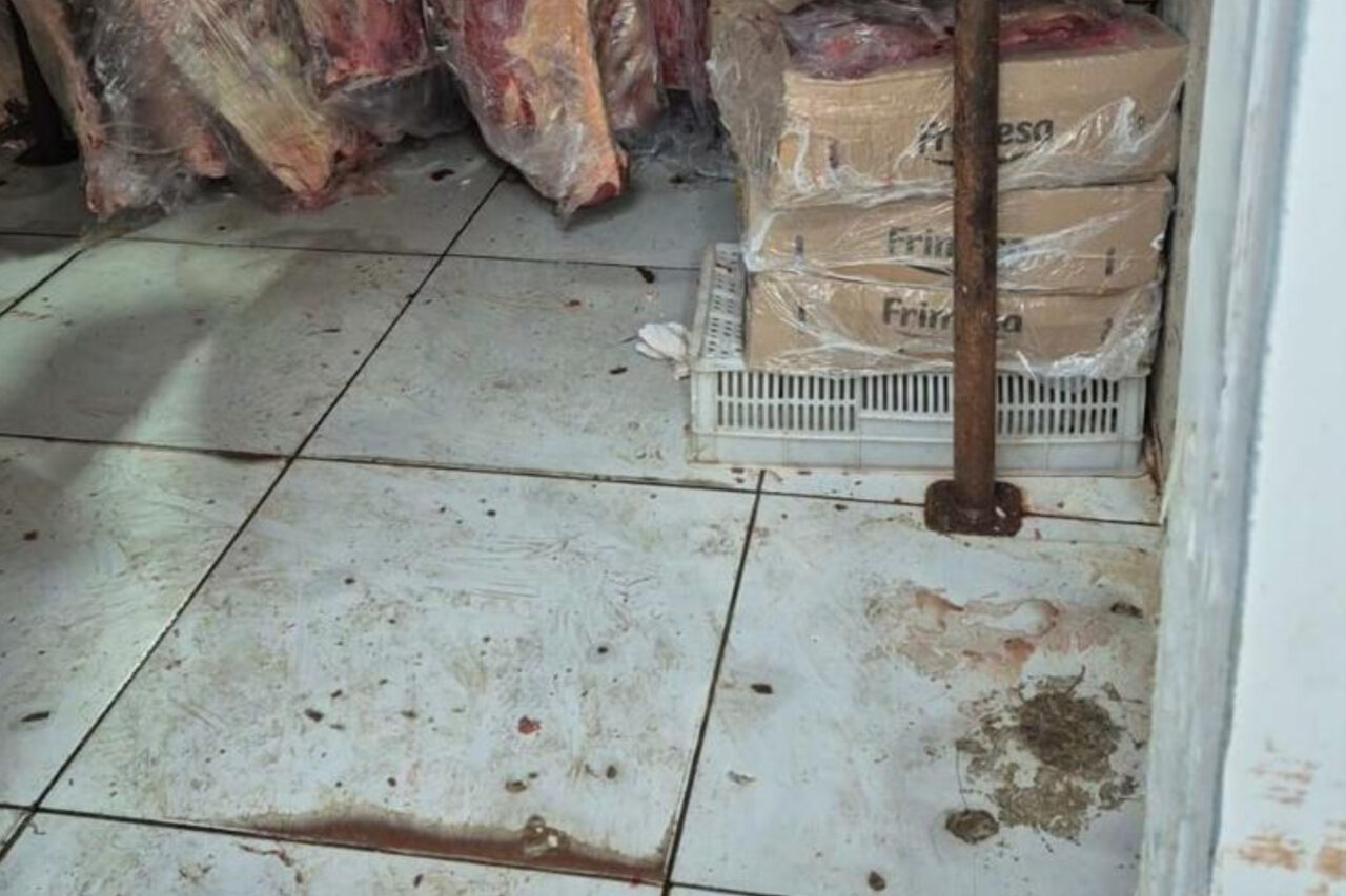 Fiscalização apreendeu cerca de 4,6 toneladas de produtos irregulares. Em um dos locais, agentes encontraram carne esverdeada, com mau cheiro e que estava vencida há dois anos