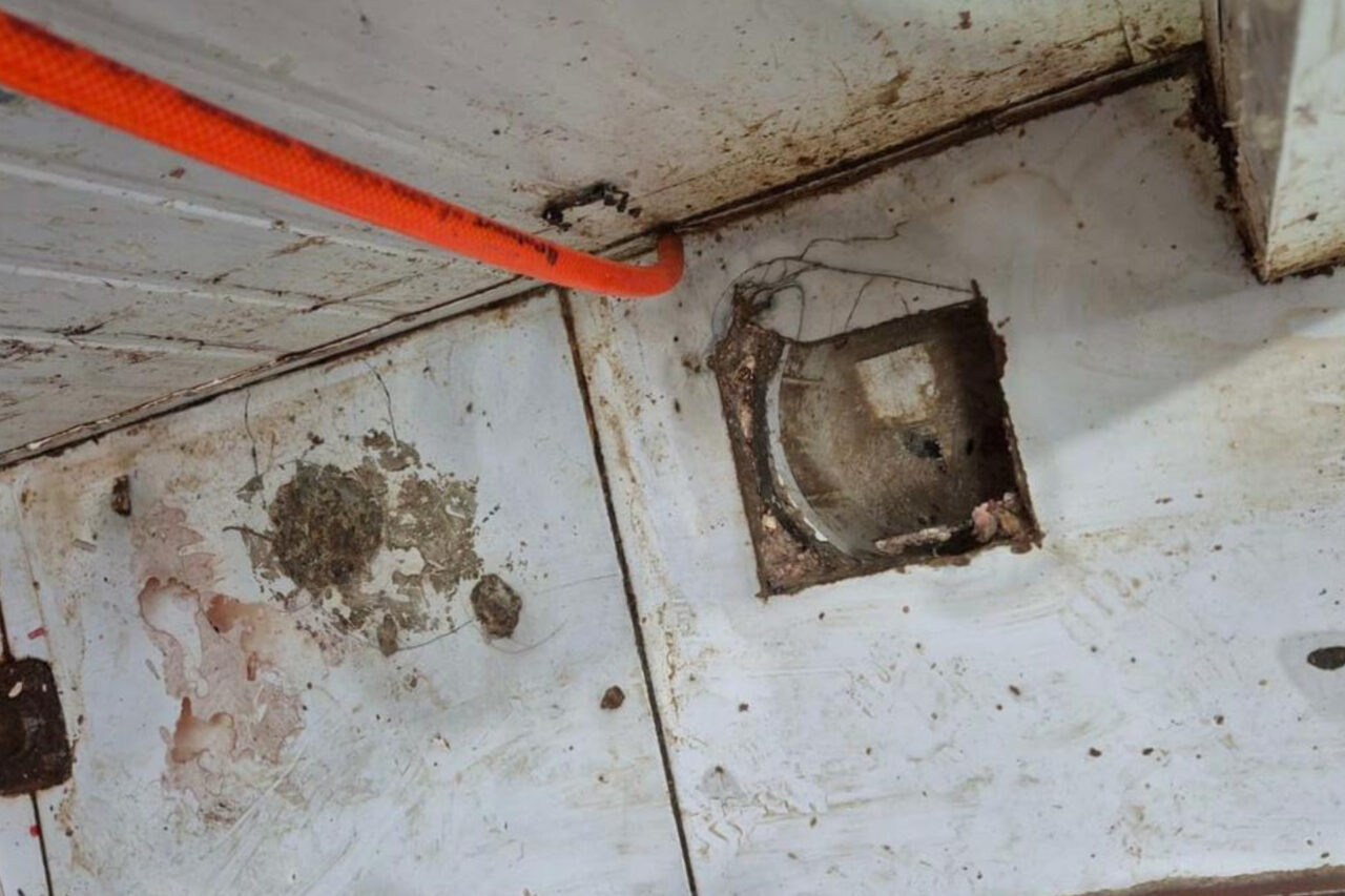 Fiscalização apreendeu cerca de 4,6 toneladas de produtos irregulares. Em um dos locais, agentes encontraram carne esverdeada, com mau cheiro e que estava vencida há dois anos