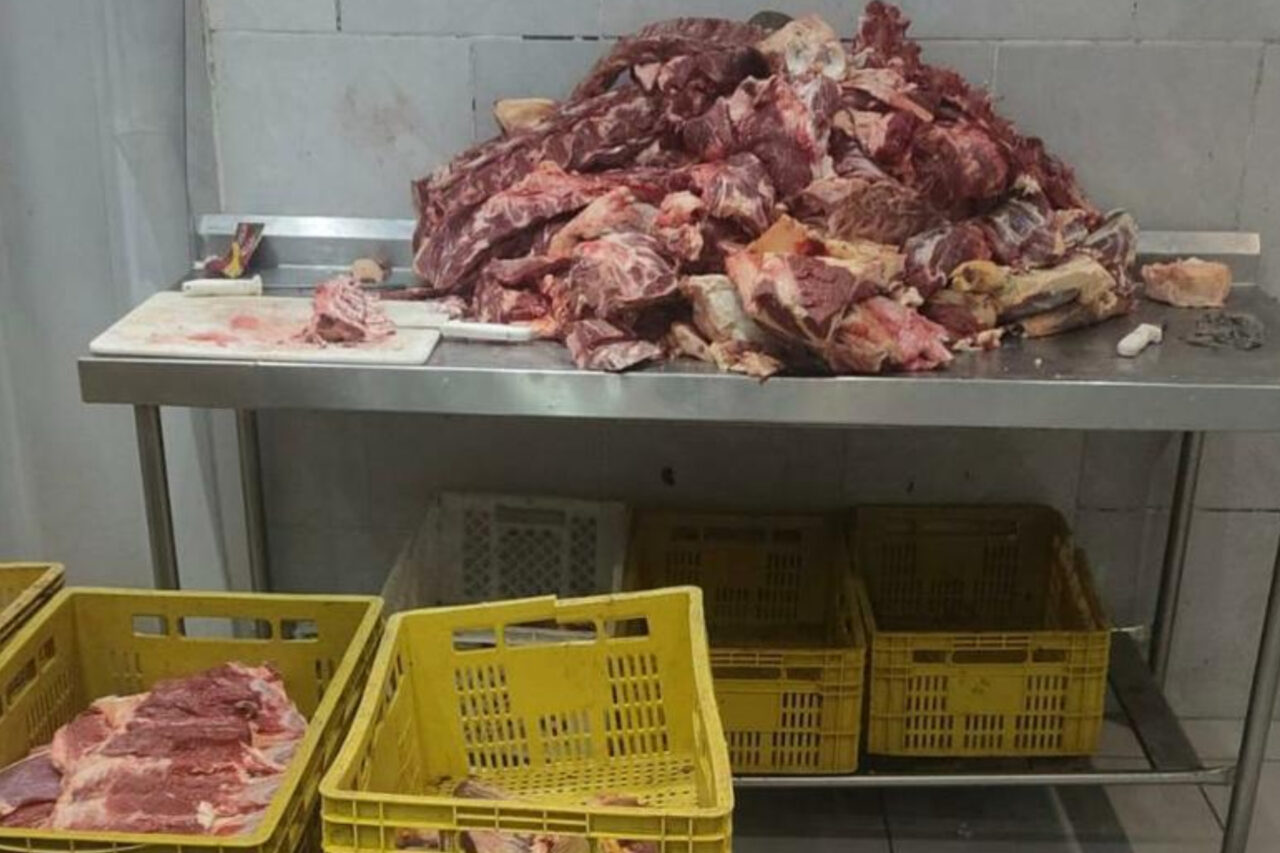 Fiscalização apreendeu cerca de 4,6 toneladas de produtos irregulares. Em um dos locais, agentes encontraram carne esverdeada, com mau cheiro e que estava vencida há dois anos
