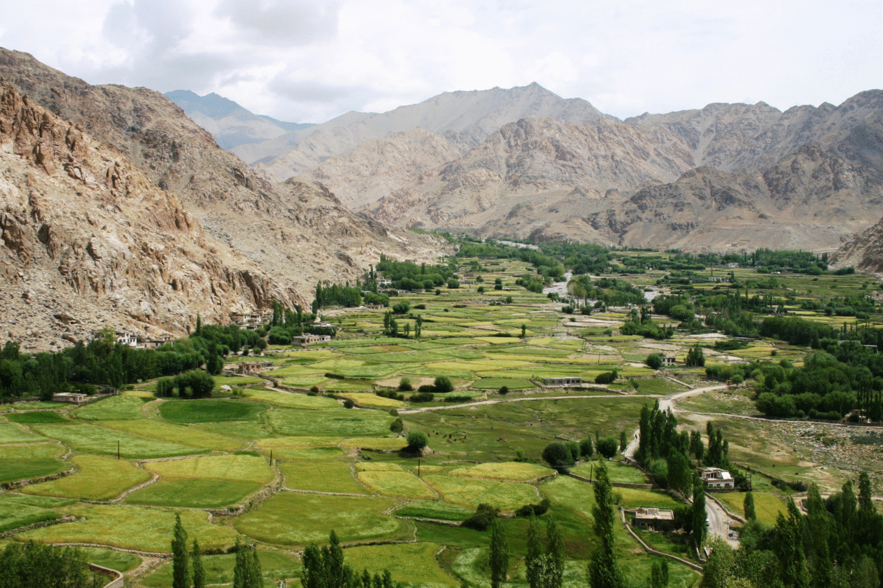 5 civilizações antigas que desapareceram e ainda intrigam pesquisadores 3 5 civilizações antigas que desapareceram e ainda intrigam pesquisadores