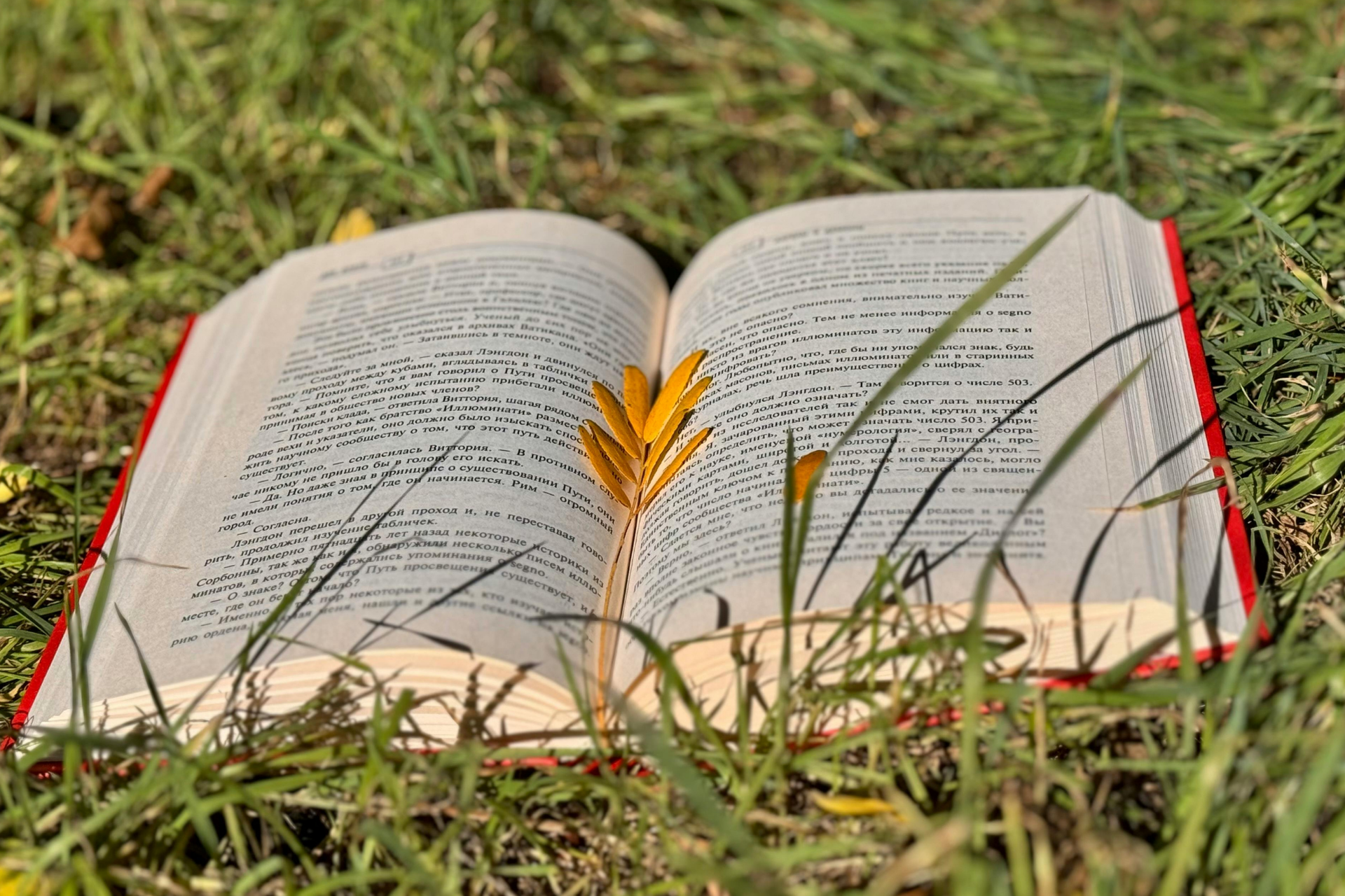 6 livros geniais que só ganharam o mundo após a morte de seus autores 42 6 livros geniais que só ganharam o mundo após a morte de seus autores