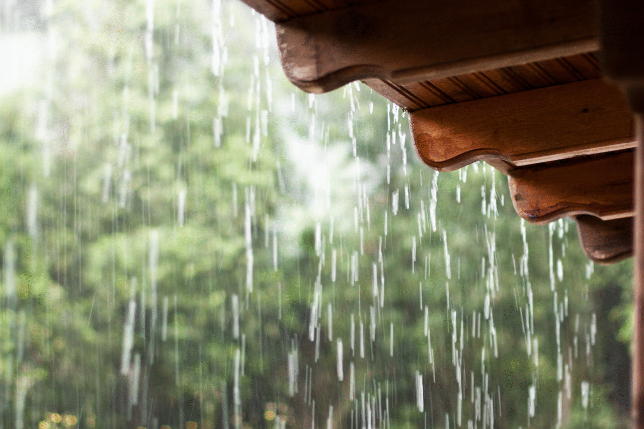 Qual é o cheiro da chuva?