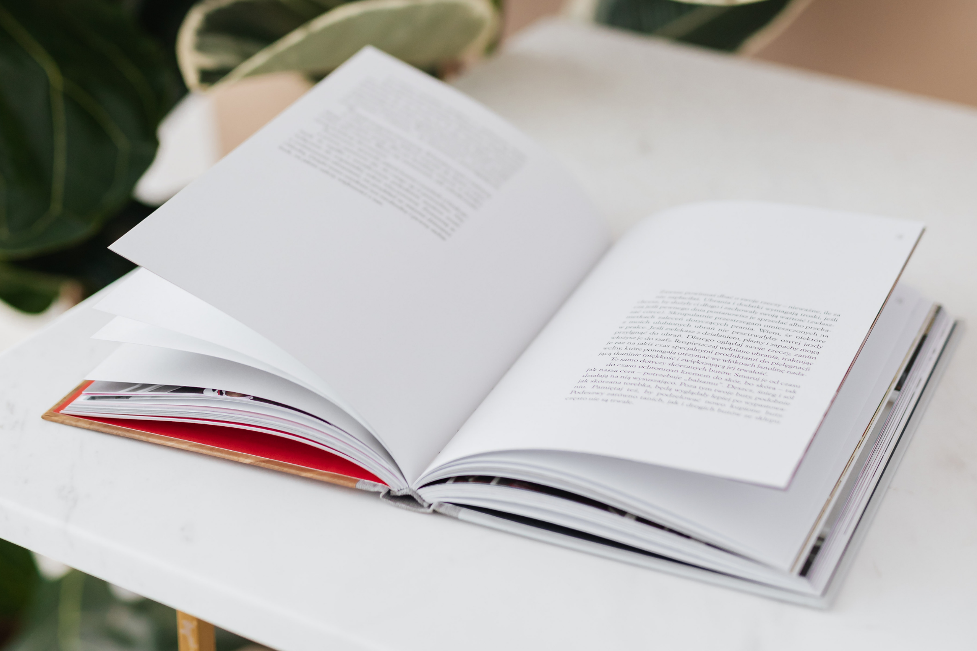 6 livros com mais de 50% de desconto na Amazon que valem cada página